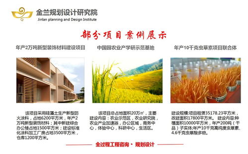 乳山旅游開發(fā)項目策劃咨詢 粉煤灰與煤矸石資源化利用的創(chuàng)新規(guī)劃