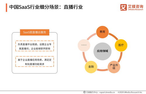 艾媒咨詢 2024年中國saas行業(yè)發(fā)展研究報告
